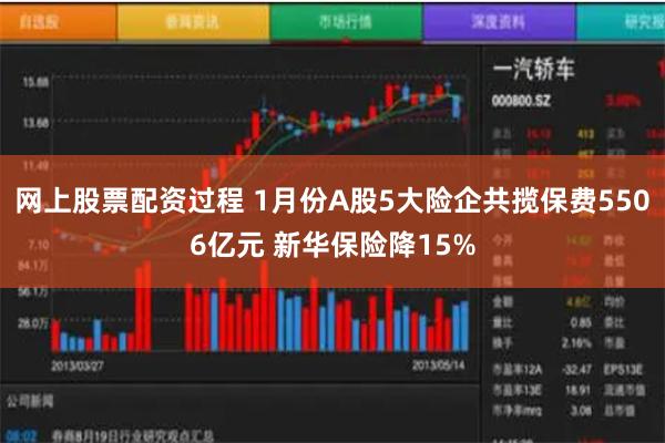 网上股票配资过程 1月份A股5大险企共揽保费5506亿元 新华保险降15%